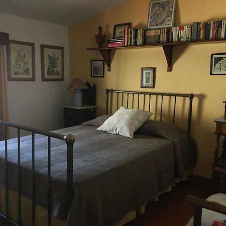 Casa Rural Cortijo Del Zoco Bajo Pozoblanco Exteriör bild
